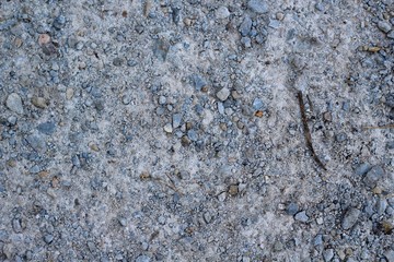 The texture of the small pebbles and rocks of the gravel.