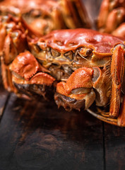 There are several hairy crabs on the table.