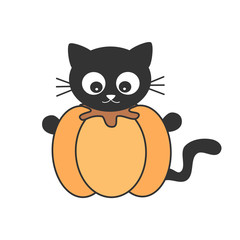 Fototapeta premium cute cartoon black cat in a pumpkin funny vector halloween illustration