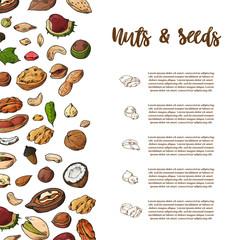 Natural nuts and seeds template. Hand drawn objects for your design. The pattern with space for text. Vector illustration