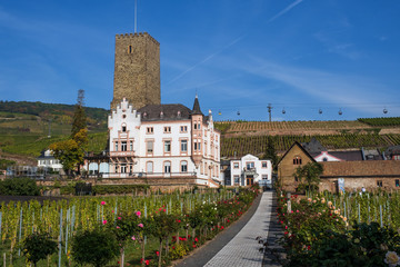 Fototapeta na wymiar Die Boosenburg in Rüdesheim