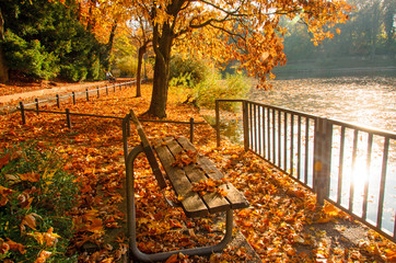Indian Summer, Schönheit des Herbstes am See, Spätsommer, Indian Summer, wundervolle Farben im Wald, weiches, stimmungsvolles Licht :)