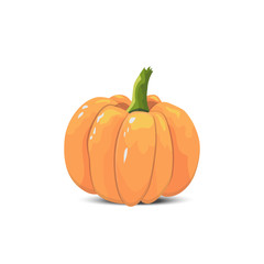 isolated color pumpkin on a white background. cartoon style