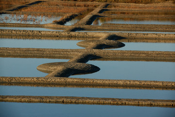 Marais salants Guérande