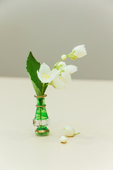 Jasmine flowers in a little green vase on a wooden background.