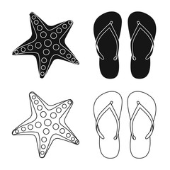 Isolated object of equipment and swimming symbol. Set of equipment and activity vector icon for stock.