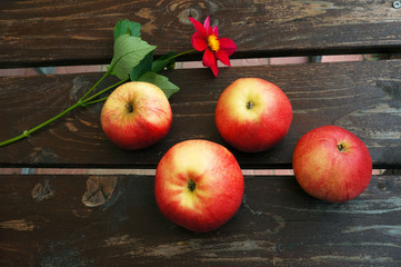 Red apples and flower on wooden boards.