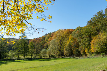 Herbst im Neandertal