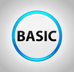 Basic Round Blue Push Button