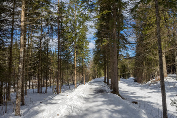 Wilbad Kreuth Wanderwege entlang des fluss Weissar im Winter.