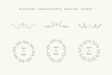 Set of floral frames and wreaths with plant.