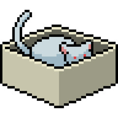 Obraz premium vector pixel art cat in box