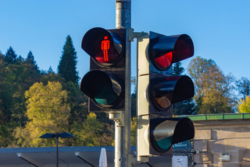 pedestrian light