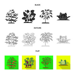 Vector design of greenhouse and plant icon. Set of greenhouse and garden stock vector illustration.