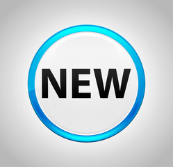 New Round Blue Push Button