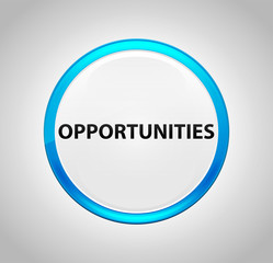 Opportunities Round Blue Push Button