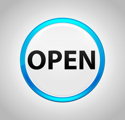 Open Round Blue Push Button