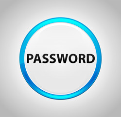 Password Round Blue Push Button