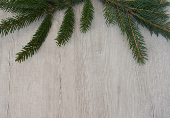 Sprig with pine needles on the board.