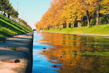 Autumn landscape. Swan groove and Summer garden.