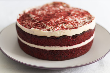 Red and white red velvet cake on a plate close up on a white background