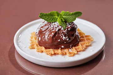 A scoop of chocolate ice cream on a waffle with coconut flakes and leaves of mince in a white plate on a glossy brown table with copy space. Sweet dessert