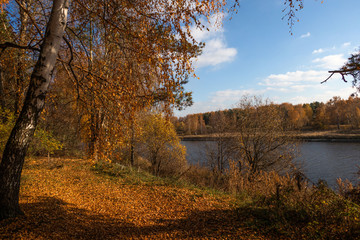 Fototapeta premium autumn landscape with lake and trees