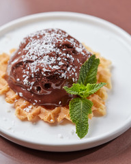 Crispy wafer with a scoop of chocolate ice cream decorated with green mint leaves and coconut chips in a plate on a brown glossy background with space for text. Cold dessert. Top view