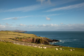 Sea scenery in Dingle circle, Slea Head, Ireland