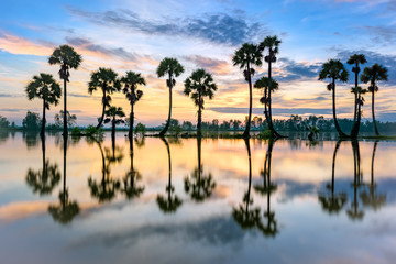 Fototapeta na wymiar Sunrise on rice paddies during flood season.