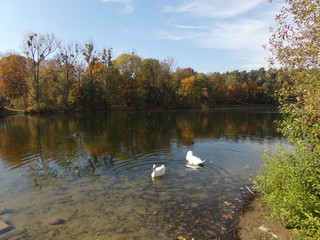 KODAK DIGITAL STILL CAMERA © Dorota