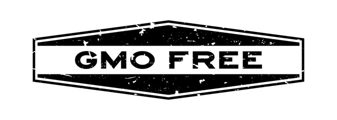 Fototapeta premium Grunge black GMO free word hexagon rubber seal stamp on white background