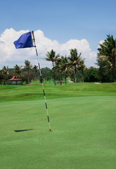 Obraz premium golf field with blue flag