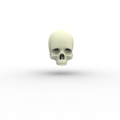3d illustration of human body skeletal cranium