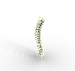 3d illustration of human body vertebral column