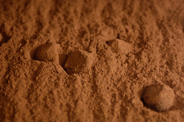 chocolat truffe dessert cacao