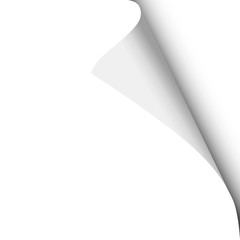 Sheet of white paper with curled corner and soft shadow. Element with space for text and ad. Template paper design. Vector illustration.