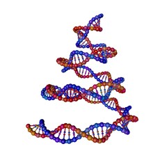 DNA strand in form of helix. 3D rendering illustration.