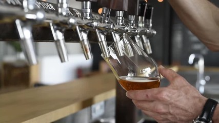 Pouring beer in glass