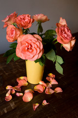 Rose, Blume, Lachsfarbend, lachs, Blütenblätter, Holz, Tisch, liegen