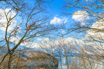 Beautiful  view of Japan autumn  in winter   with blue sky  background, Nagano Prefecture, Japan.