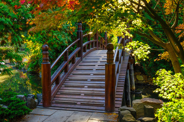 Beautiful japanese garden with bridge in autumn time