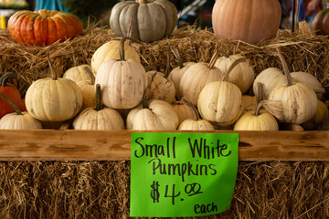 Fall Pumpkins and squash for sale at a farmers market in Raleigh North Carolina
