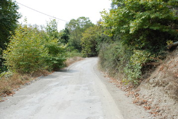 Road