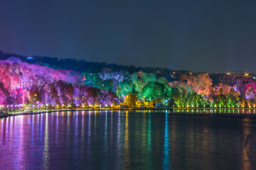 Night decoration of the park in the form of multi-colored lights. Magical forest in Moscow