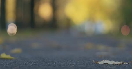 Low angle shot of fallen autumn leaves on sidewalk in the morning with moving cars on background