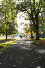 Spaziergang im Herbst
