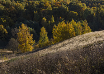 Осенние фотооткрытки, осень, Москва, природа, краски...