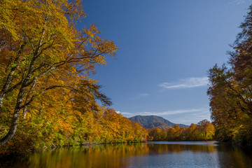 Fototapeta premium 紅葉の鎌池（長野県小谷村）