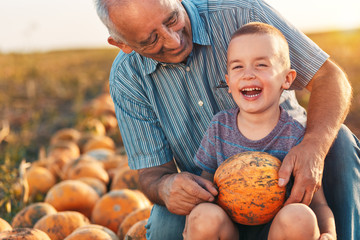 Senior farmer with his grandson examining pumpkin in field. - Powered by Adobe